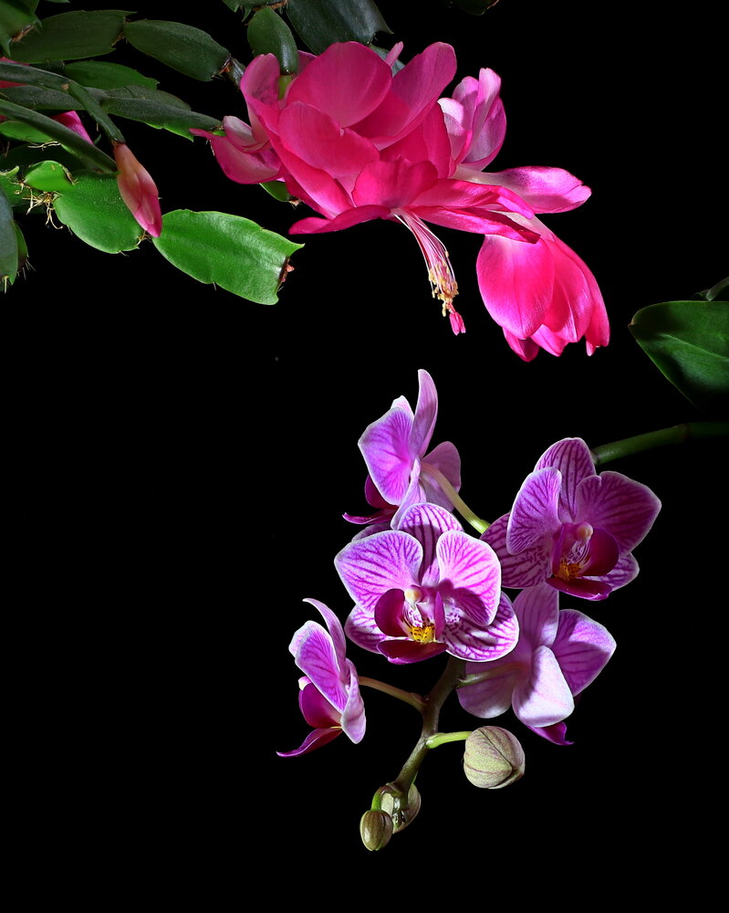Photograph by Куленко Игорь