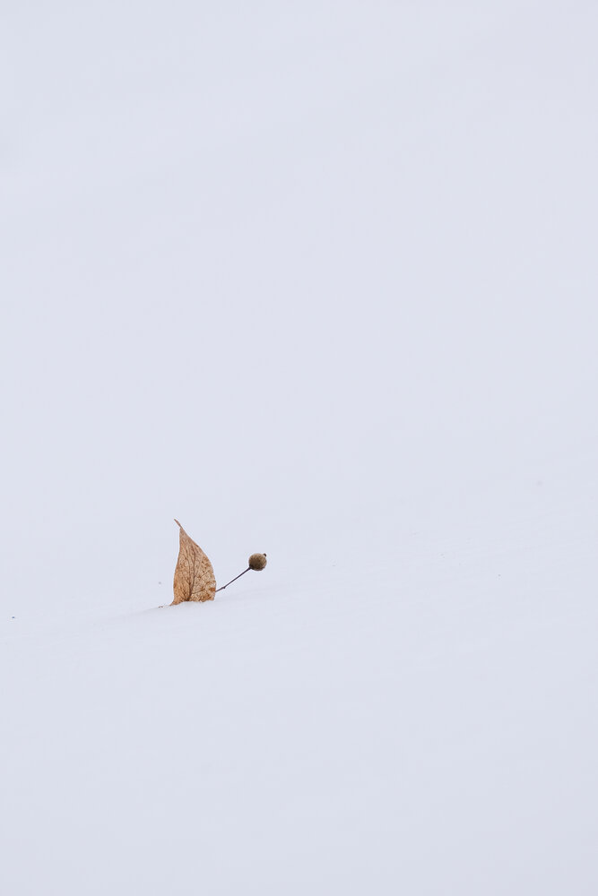 Photograph by Александр Высоцкий