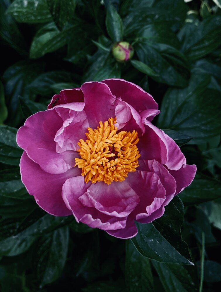 Photograph by Маргарита Лаптева