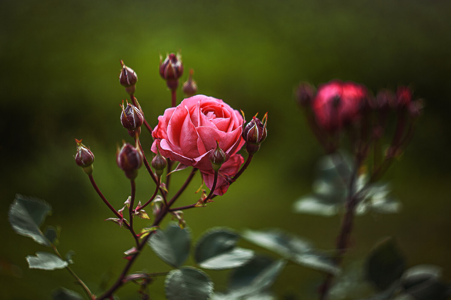 Photo #13862402