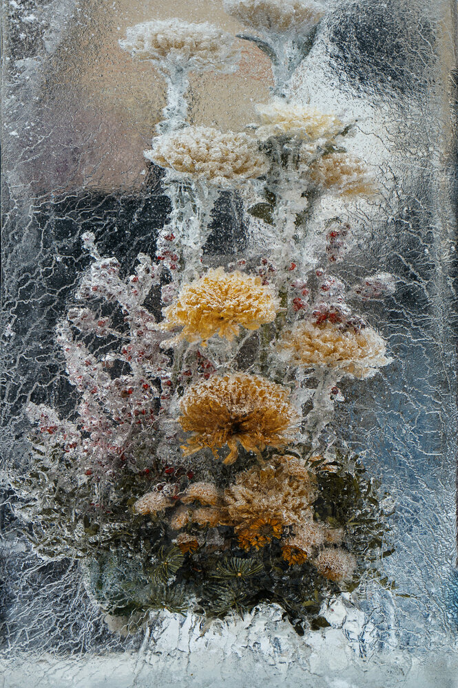 Photograph by Александр Ананьев