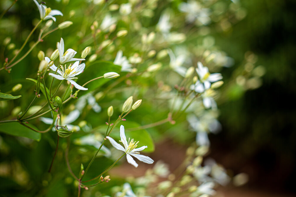 Photograph by Александр Ананьев
