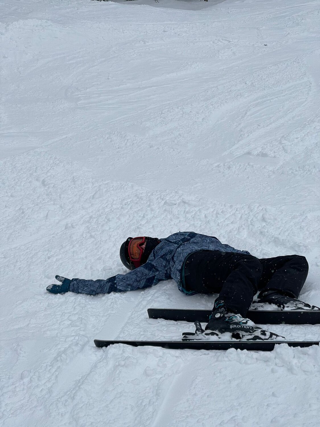 Photo #13862415