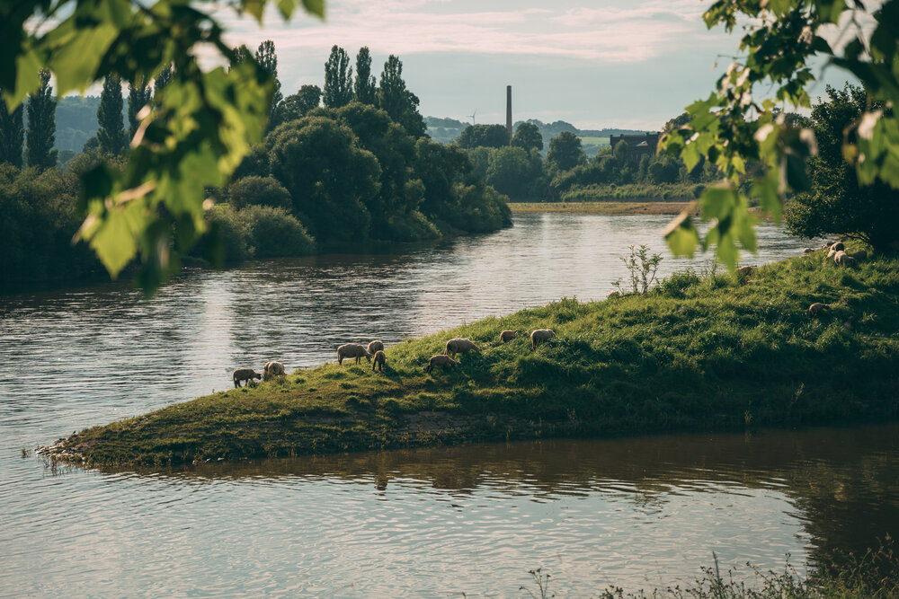 Photograph by Екатерина Карпова