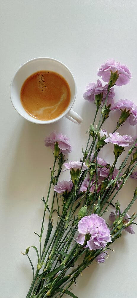 Photograph by Алена Торопчина