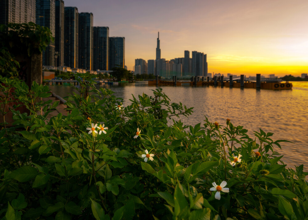 Photograph by HIEU DAT NGUYEN