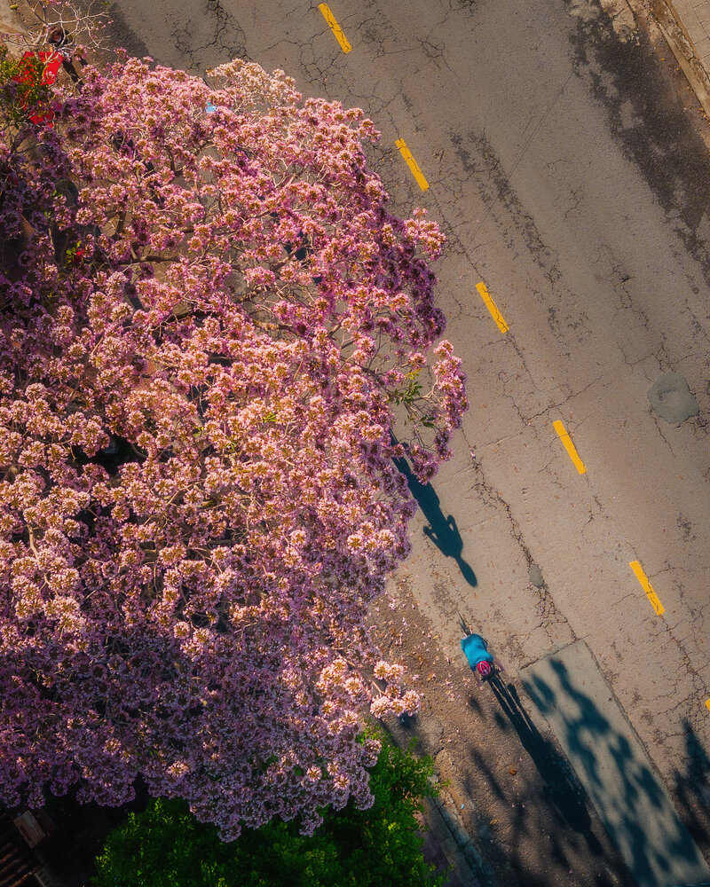 Photograph by HIEU DAT NGUYEN
