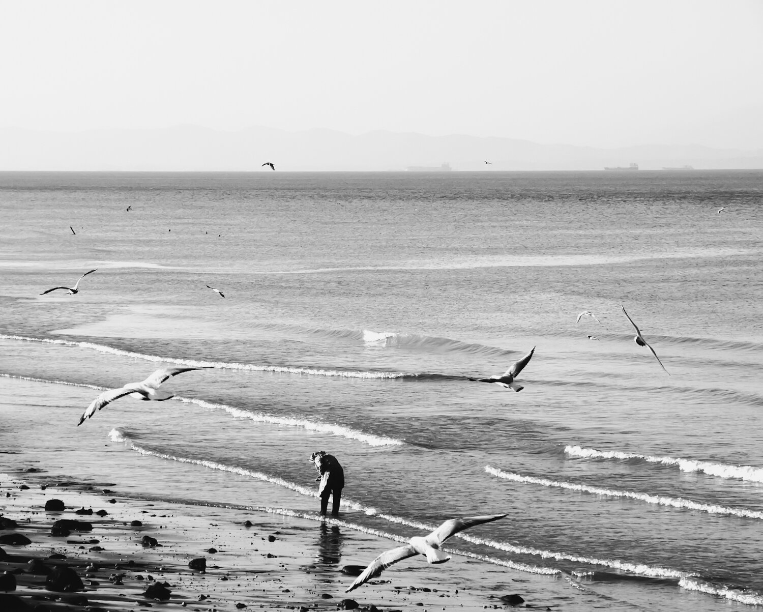 Photo #13862533