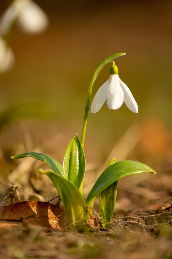 Photograph by Никита Иванов