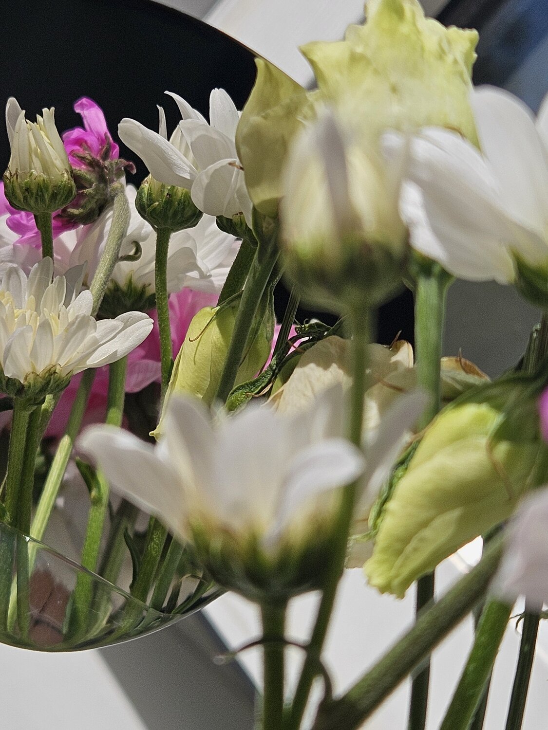 Photo #13862607