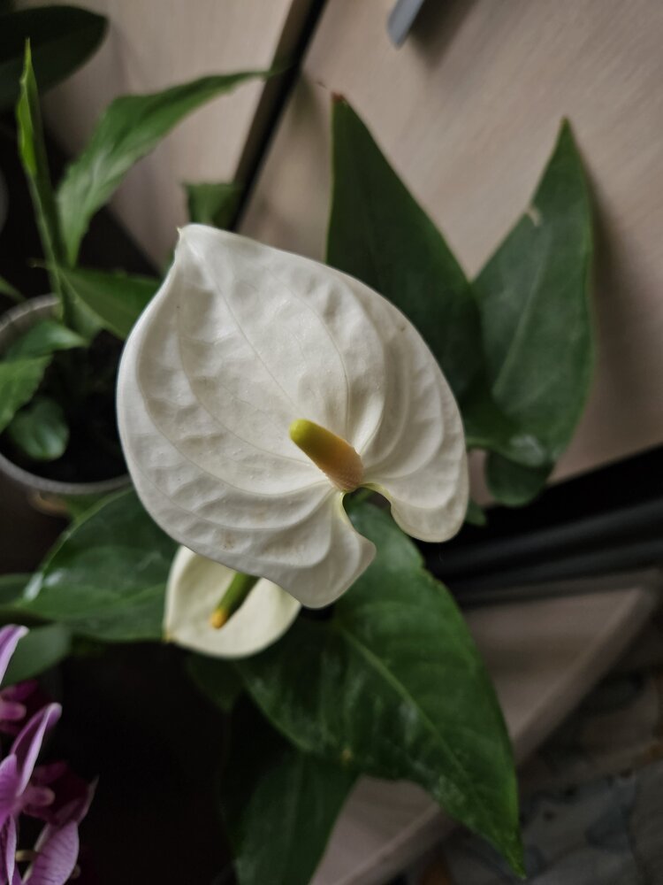Photograph by Юлия Ханналайнен