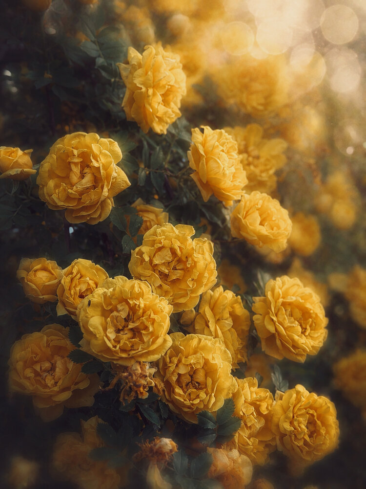 Photograph by Диана Минабутдинова