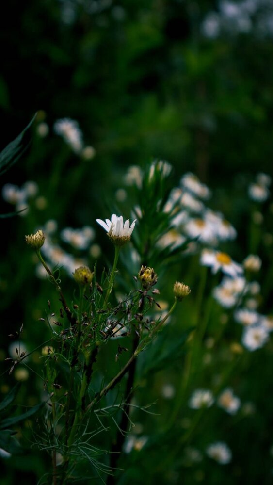 Photograph by Ксения Красина