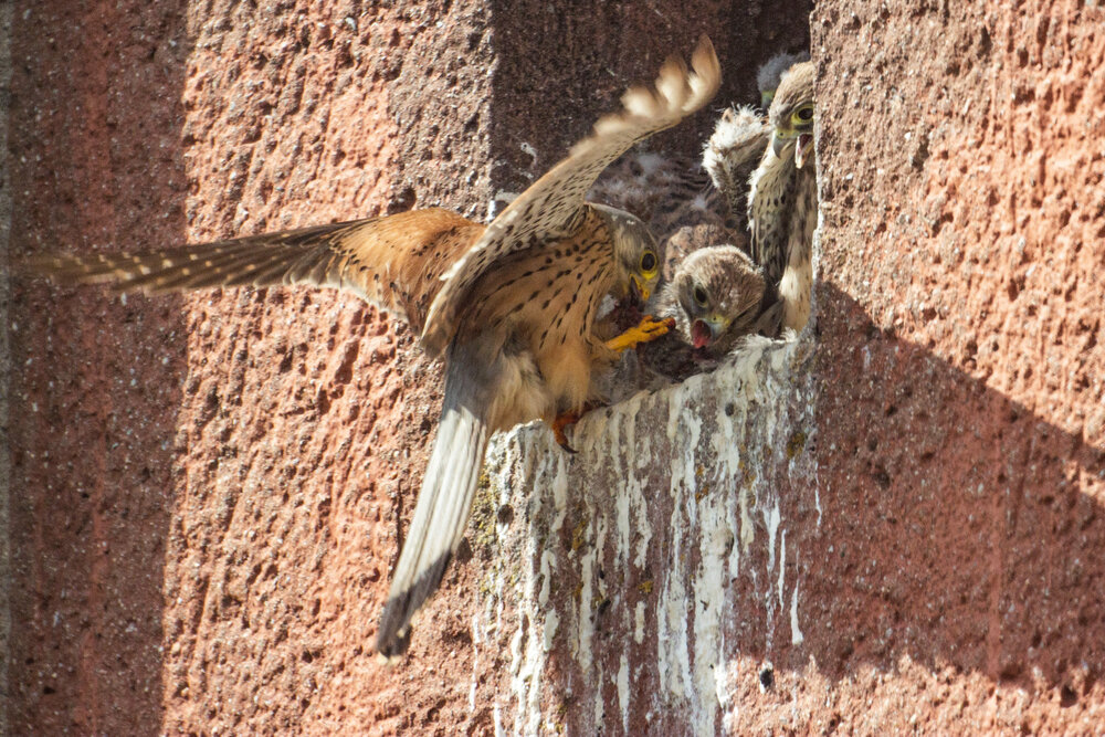 Photograph by Алексей Борисов