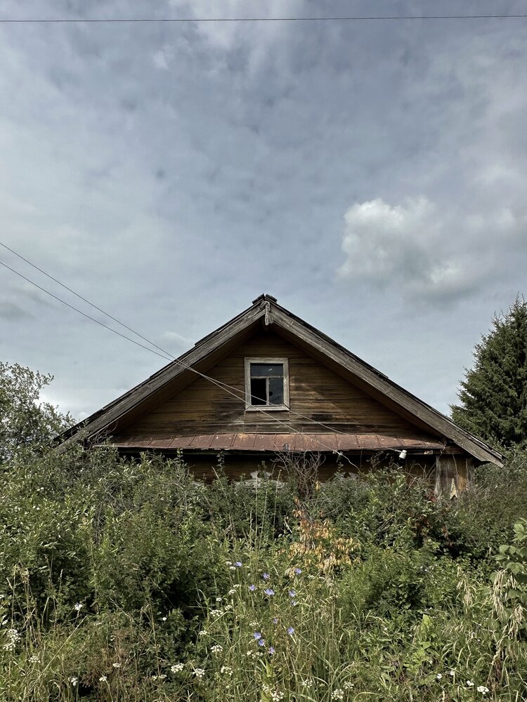 Фотография автора Анастасия Мышкина