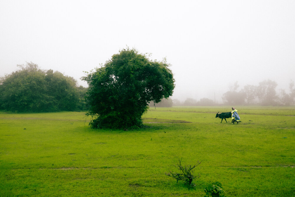 Photograph by Manoj Kulkarni