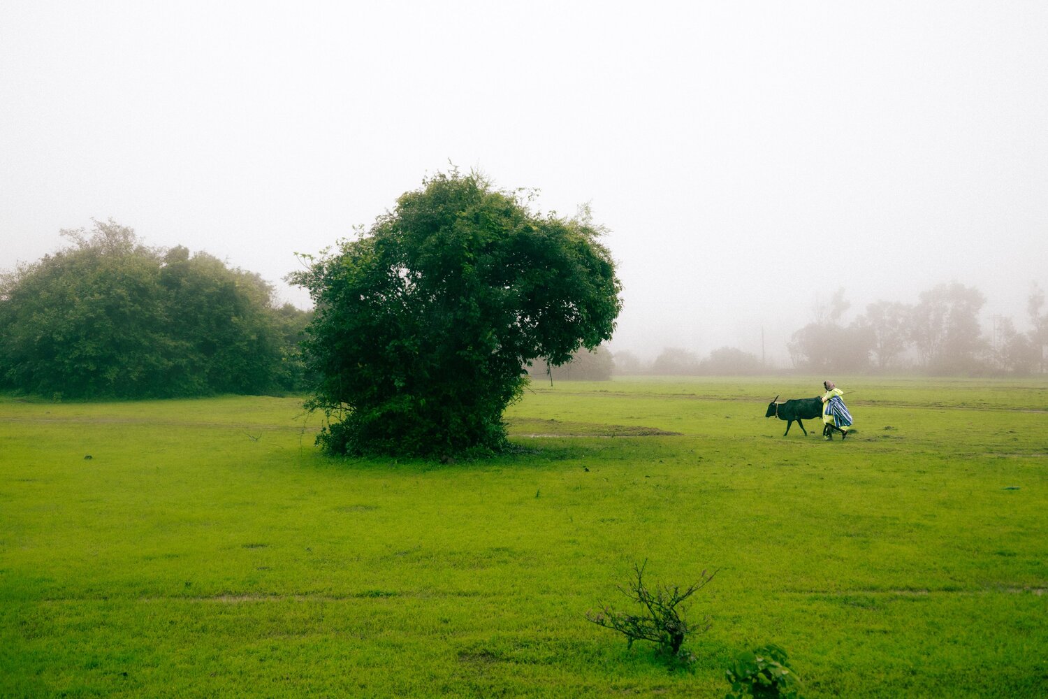 Photo #13862742