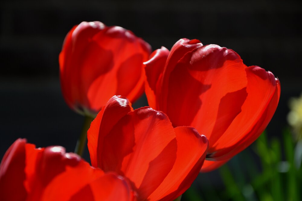 Photograph by Анатолий Борисенко