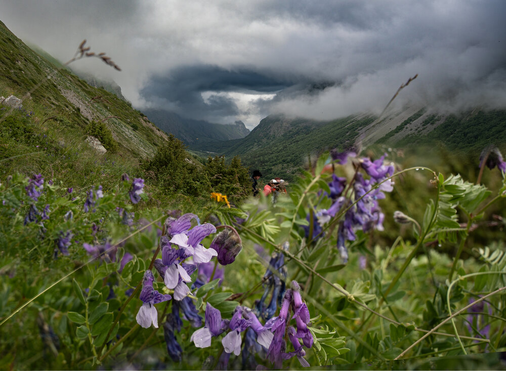 Photograph by Ивлев Артем