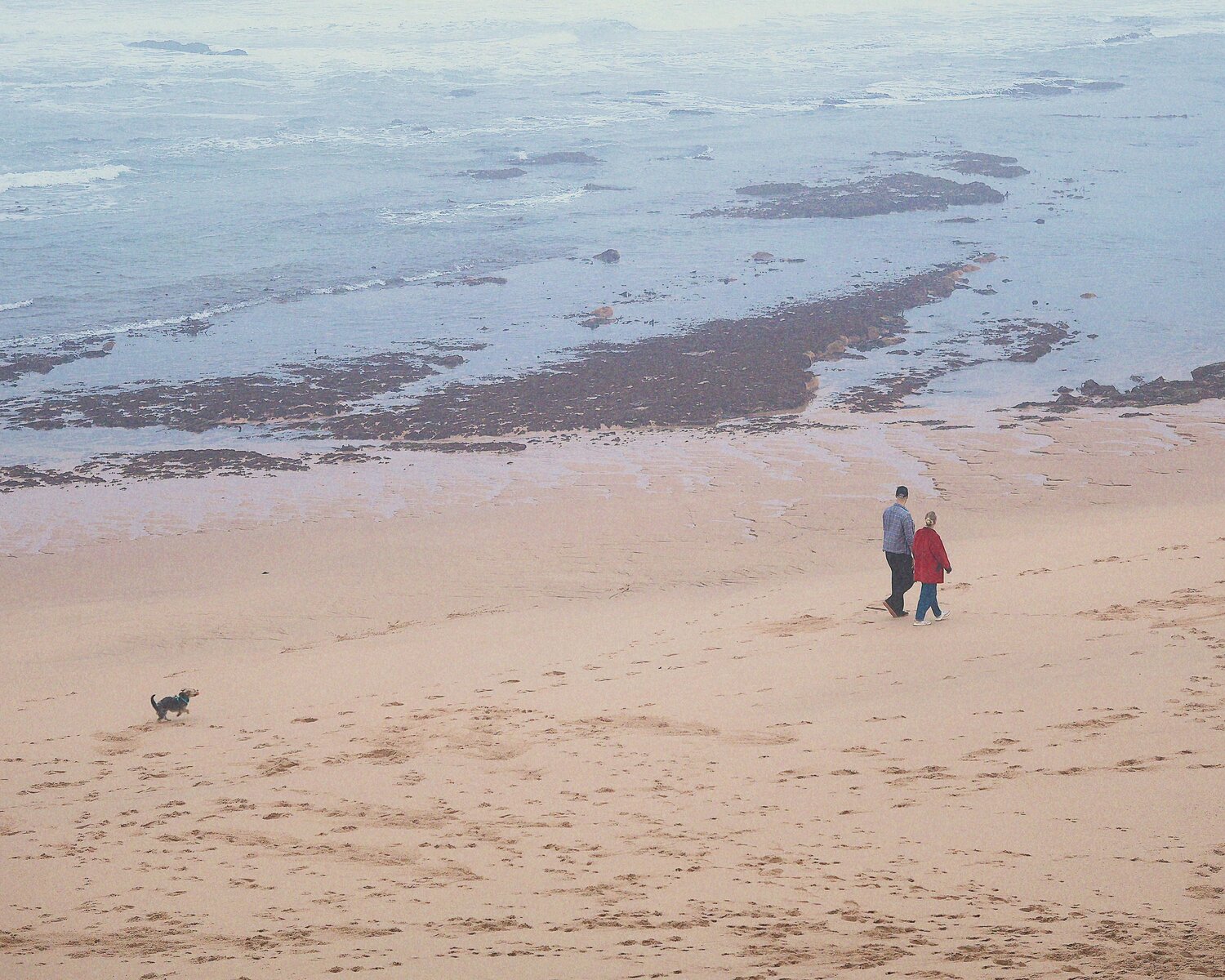 Photo #13862833