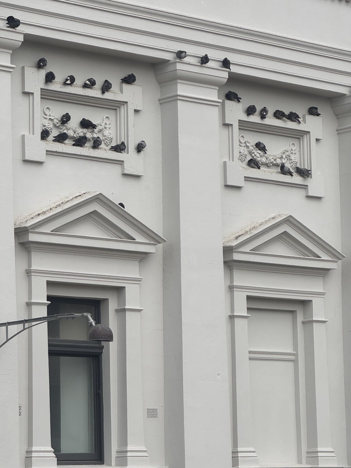 Photo #13862873