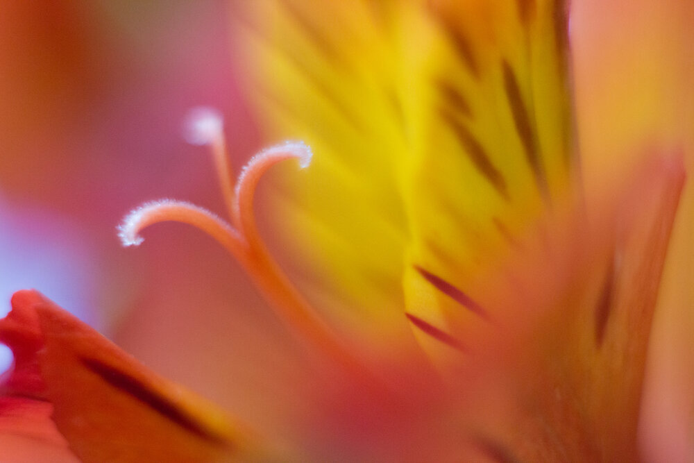 Photograph by Яна Кисловская