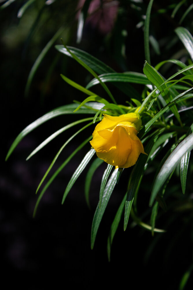 Photograph by Яна Кисловская