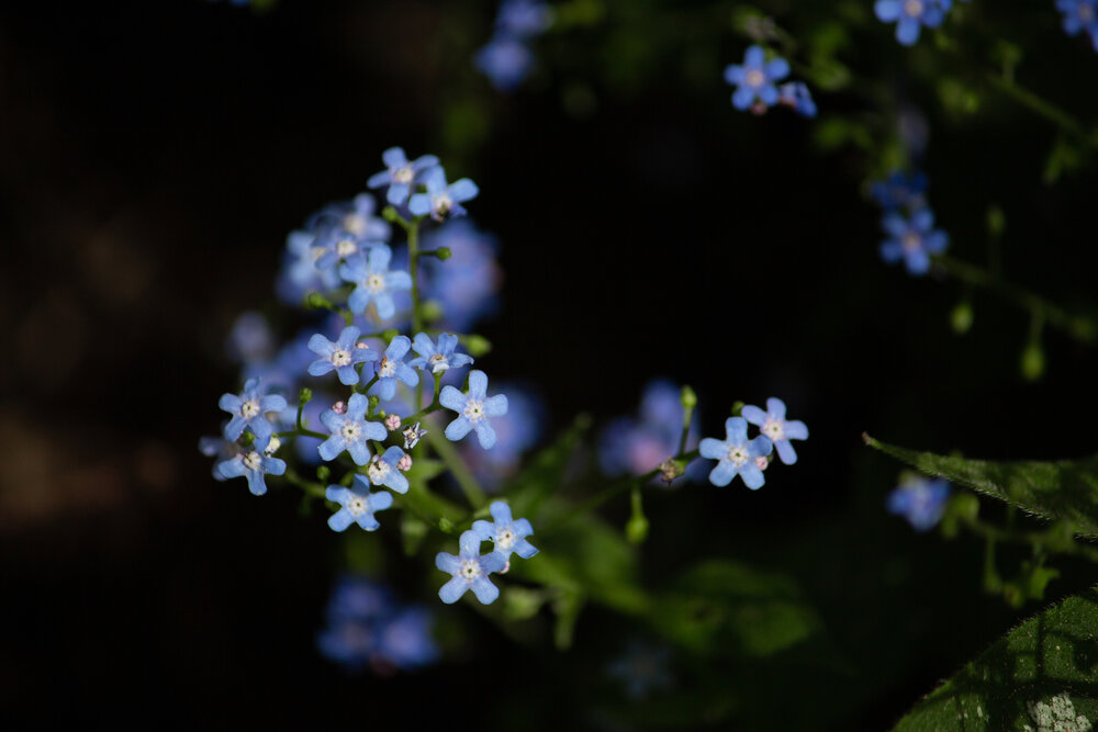 Photograph by Яна Кисловская