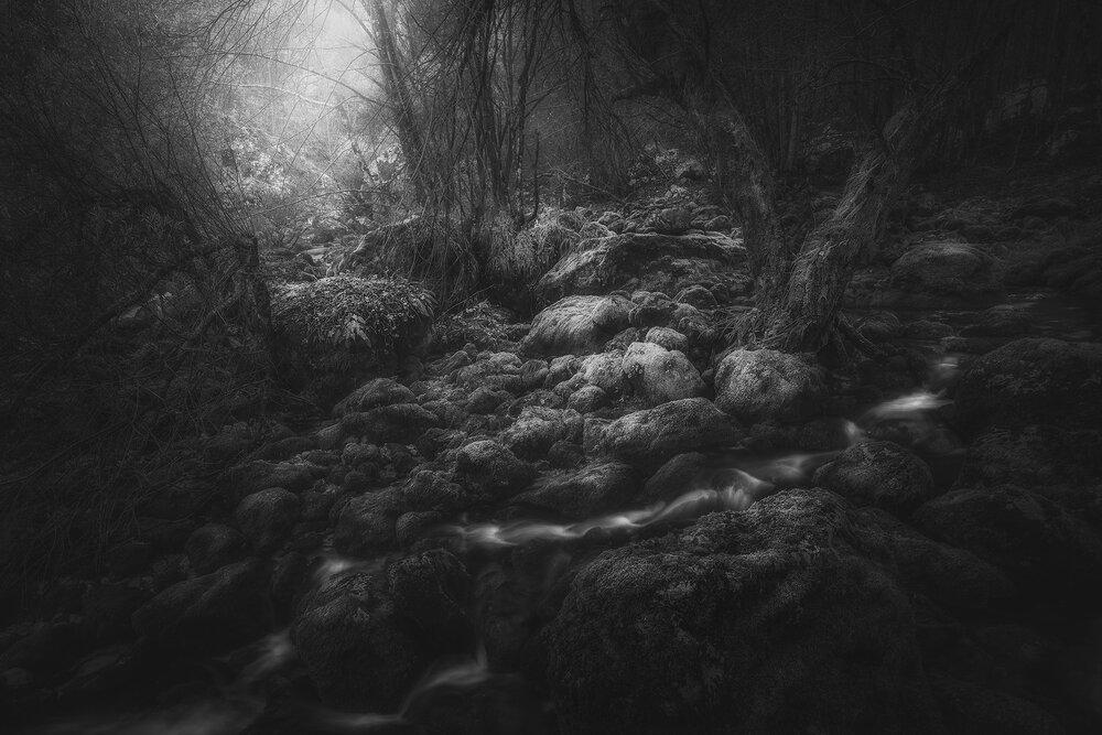 Photograph by de Franzoni Thomas