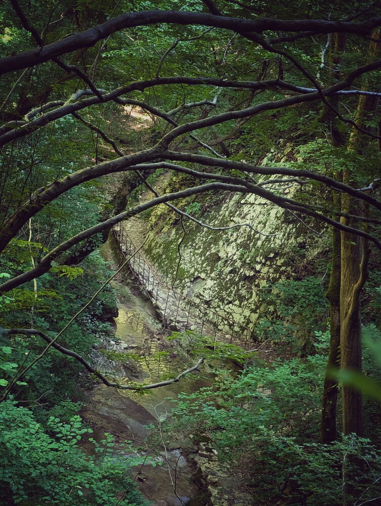 Photograph by AlexaL