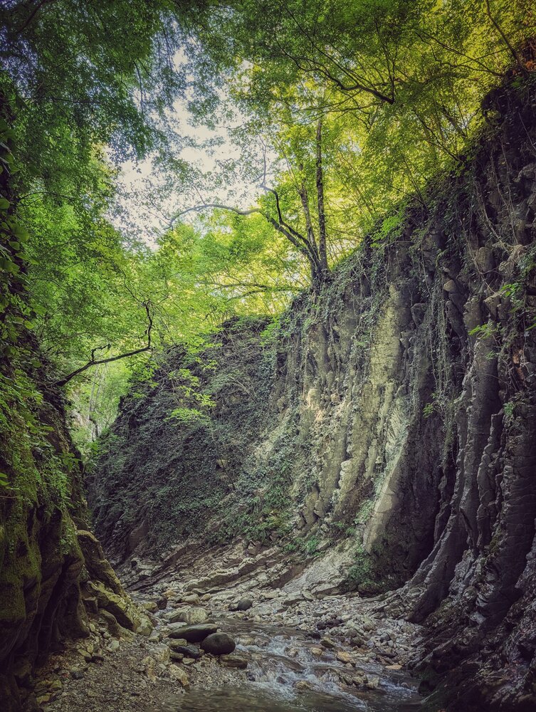 Photograph by AlexaL