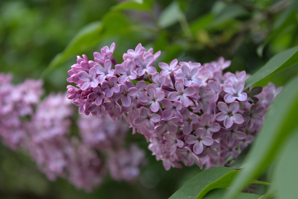 Photograph by Ирина Дмитриенко