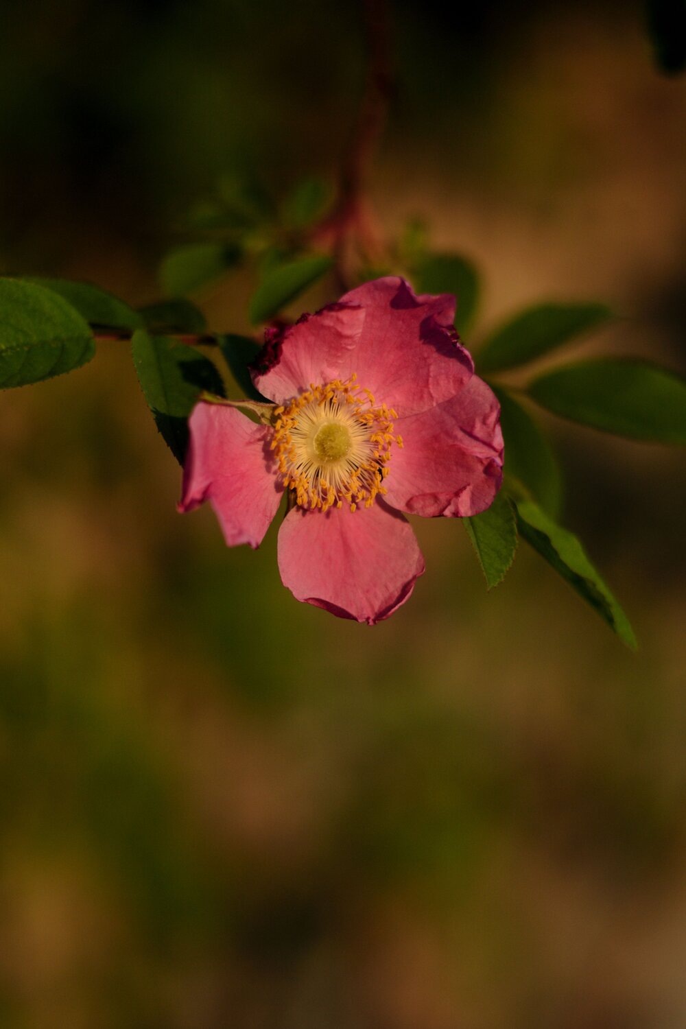 Photo #13863077