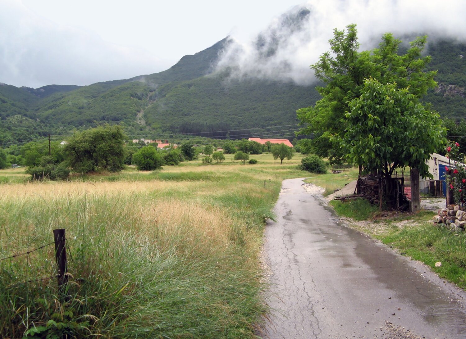 Пастораль