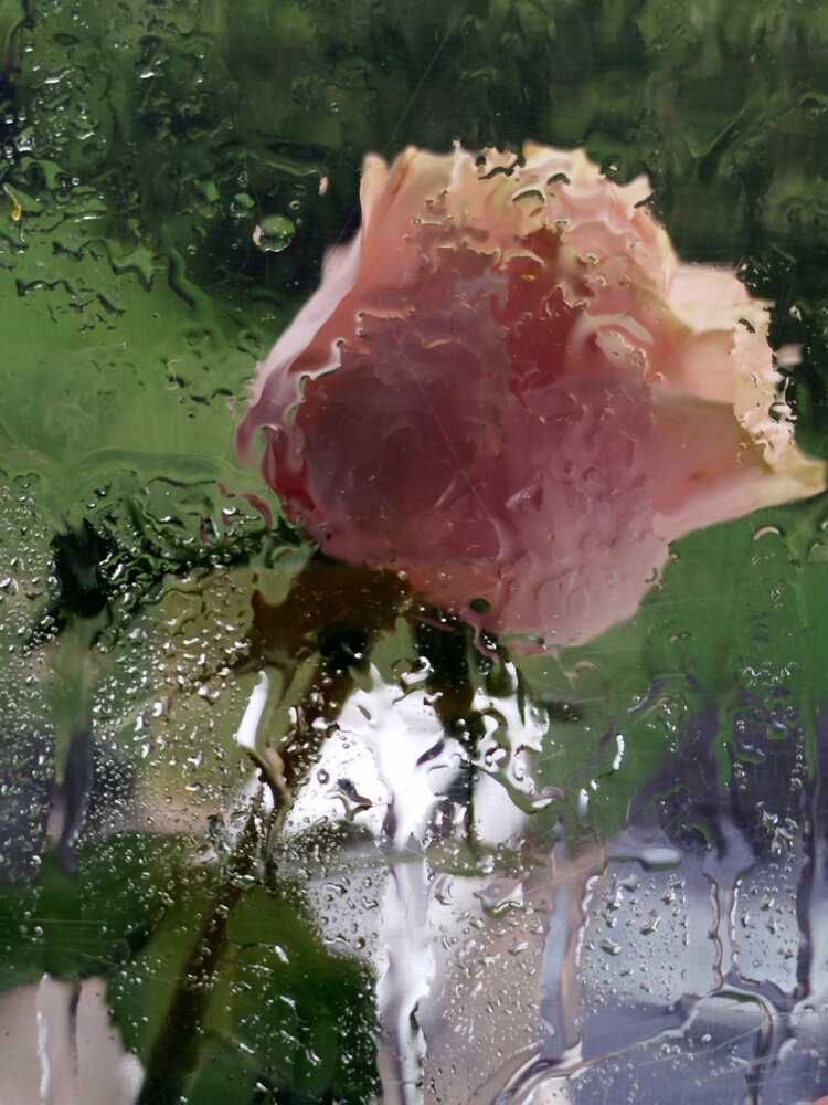 Photograph by Дубровина Марина