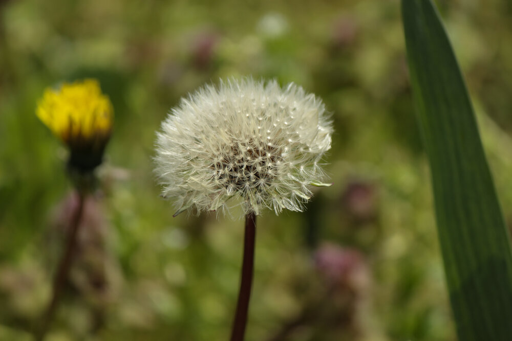 Photograph by Ирина Дмитриенко