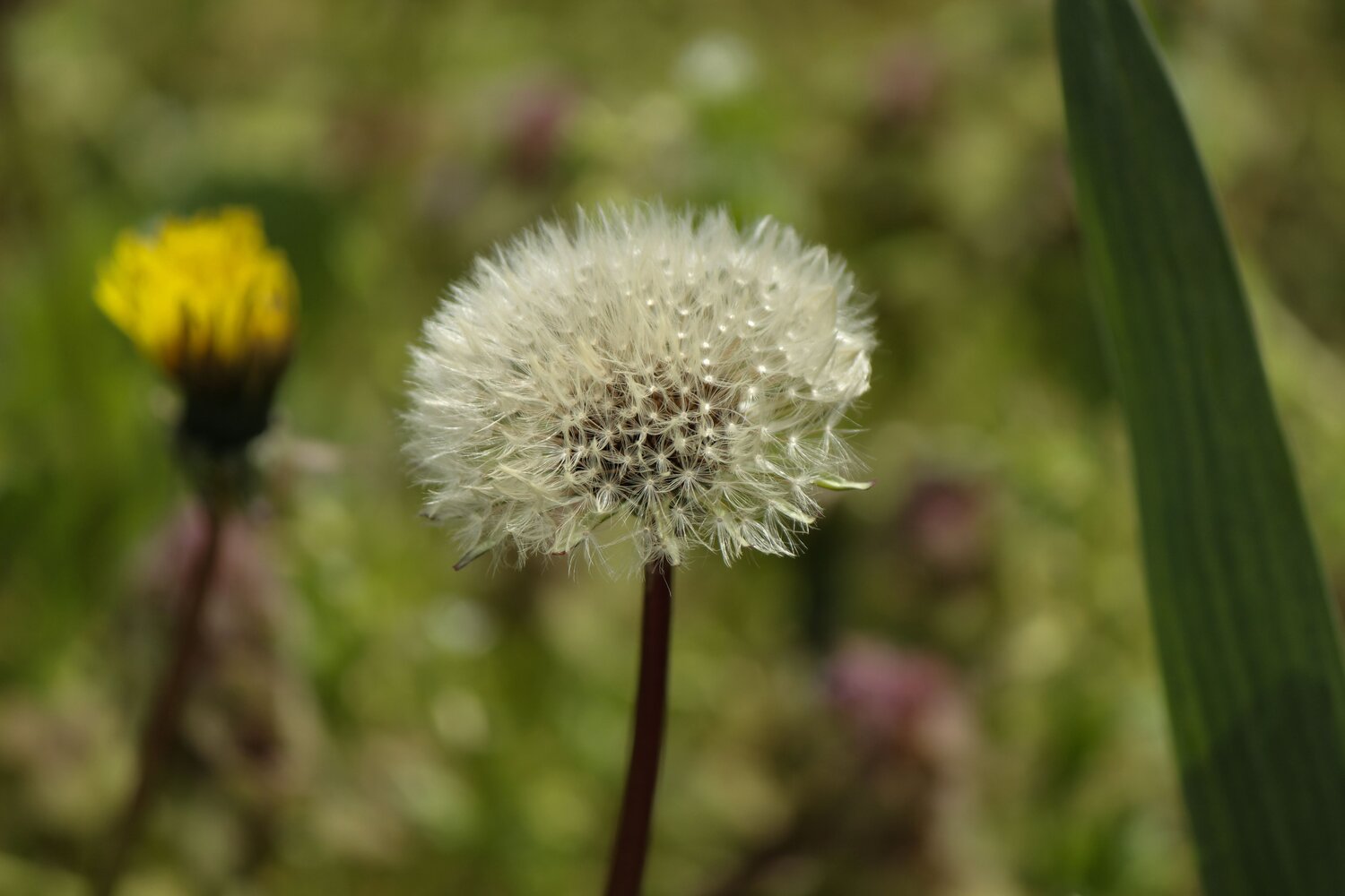 Photo #13863136