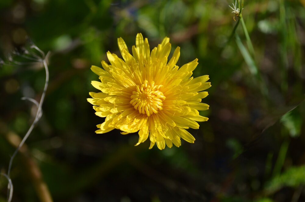 Photograph by Надежда Галимова