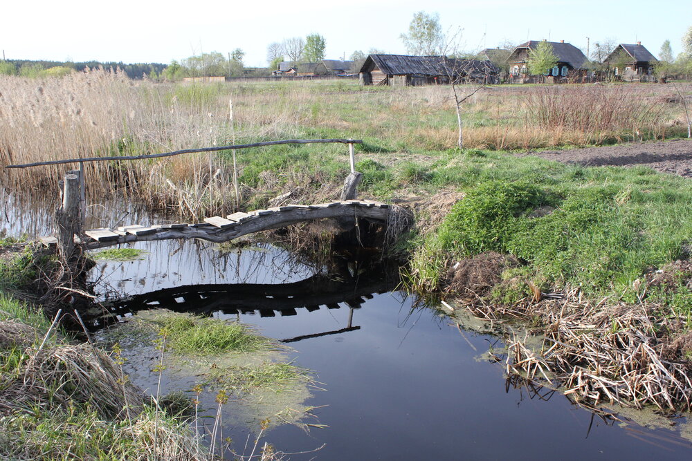 Photograph by Александр Анташкевич