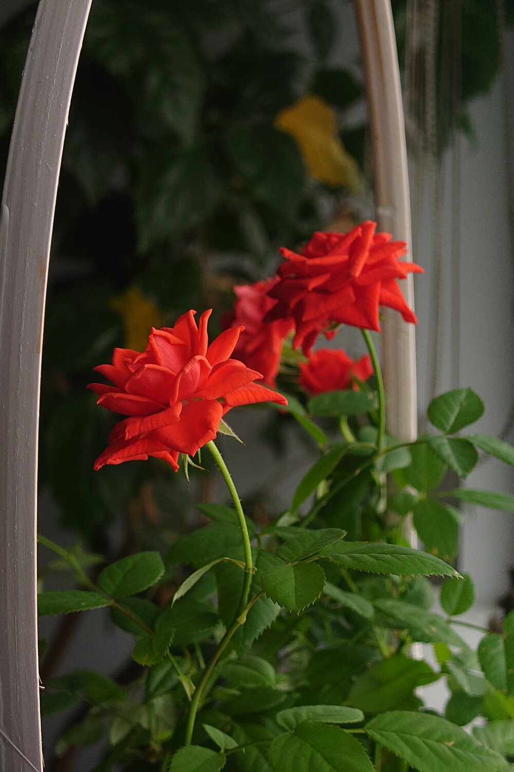 Photo #13863227