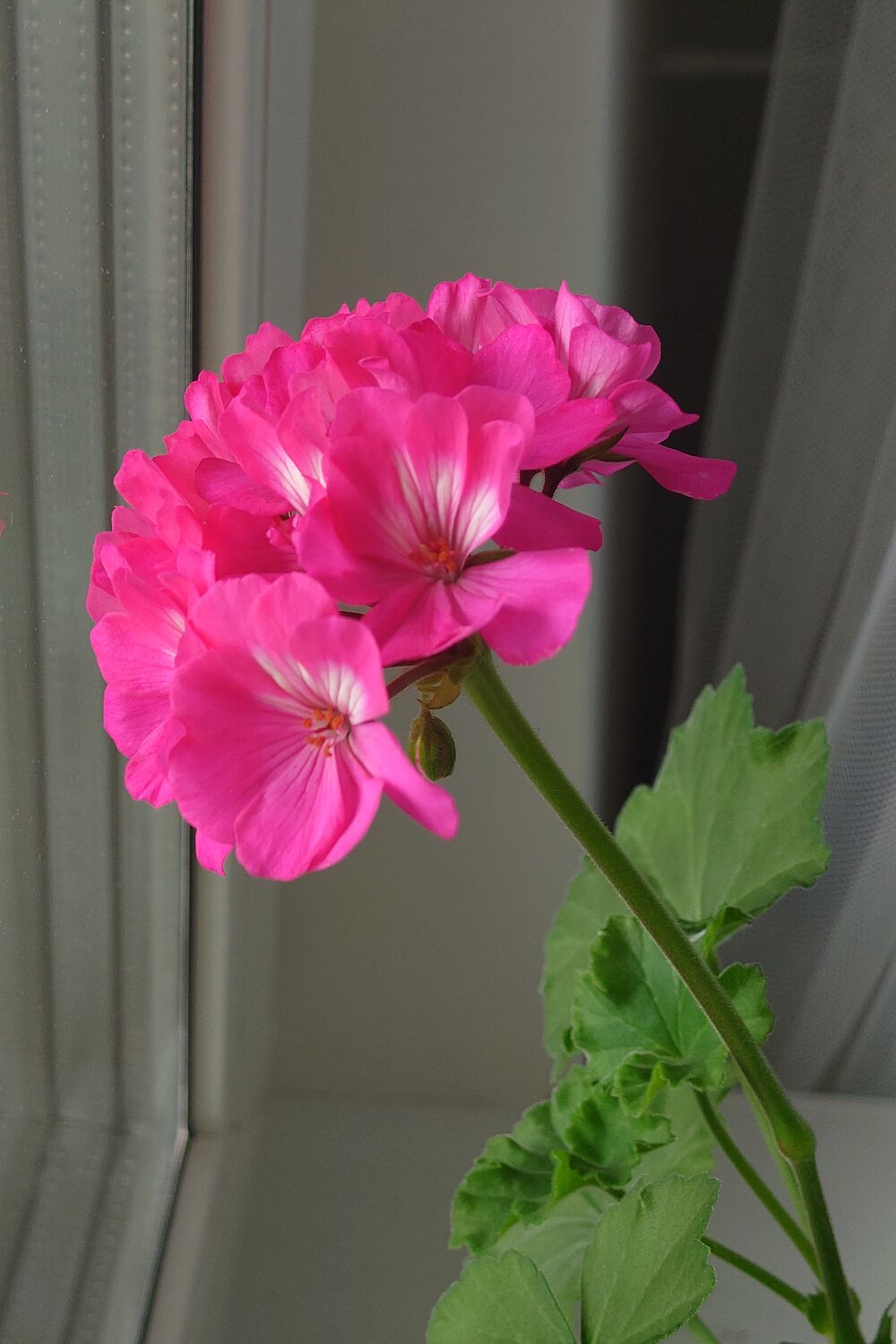 Photo #13863229