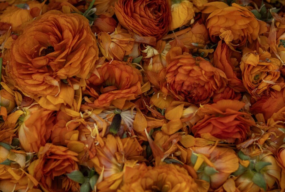 Photograph by Светлана Ханина