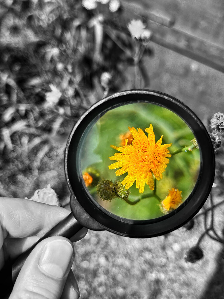 Photograph by Ирина Павлова
