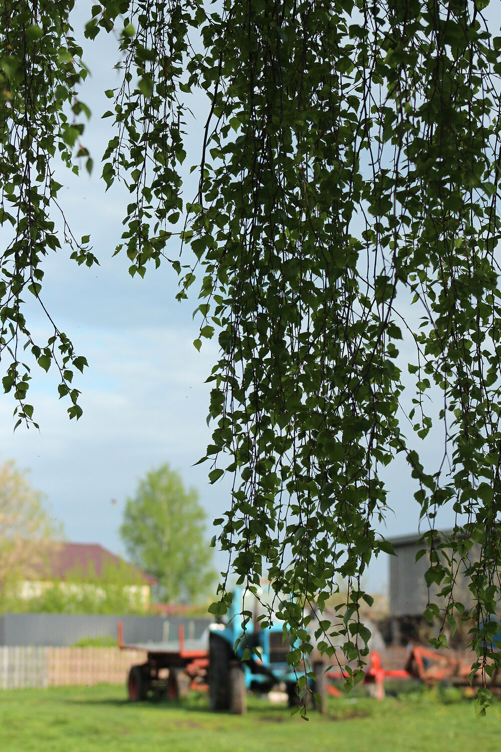 Photo #13863302