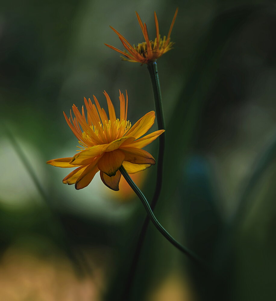 Photograph by Светлана Дисяк