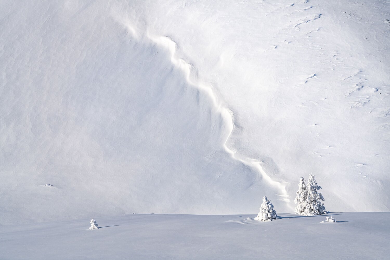 Photo #13863329