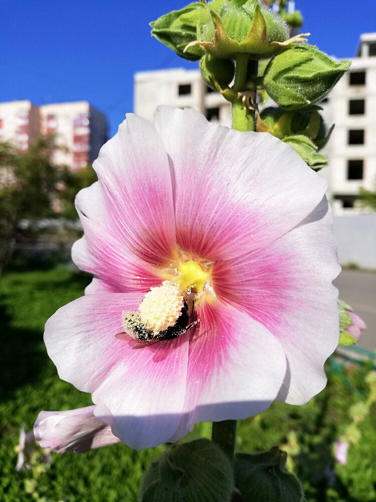 Photograph by Лариса Неудачина
