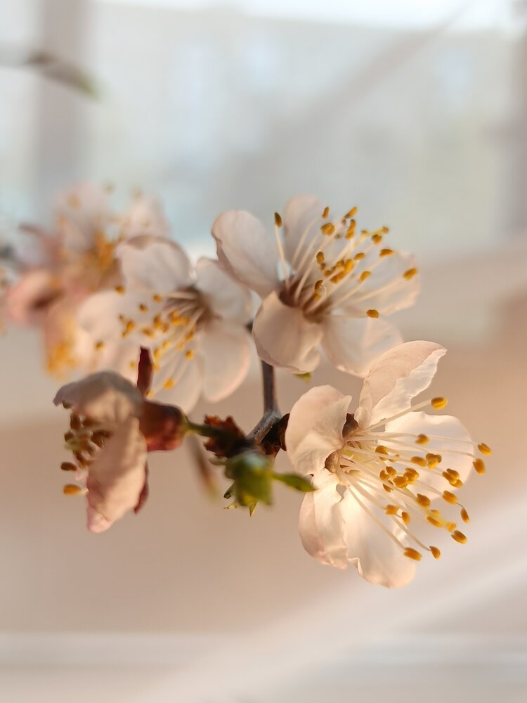 Photograph by Валентина Анюхина