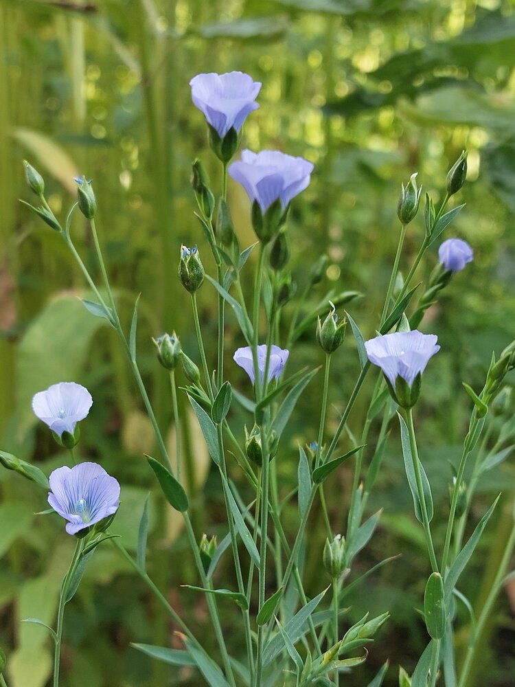 Photograph by Нина Паршина