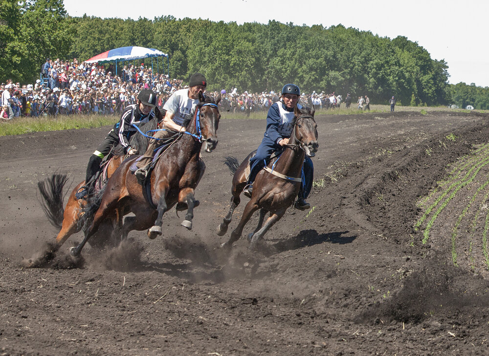 Photograph by Тамара Андреева